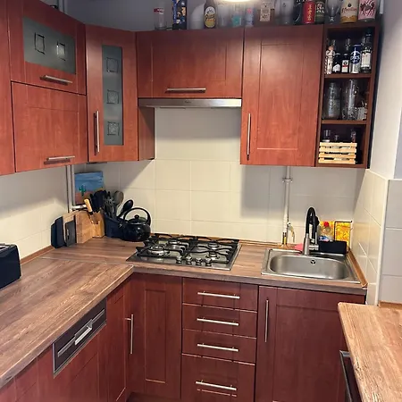 Apartman Dwupokojowe Mieszkanie Blisko Parku Cytadela Poznań
